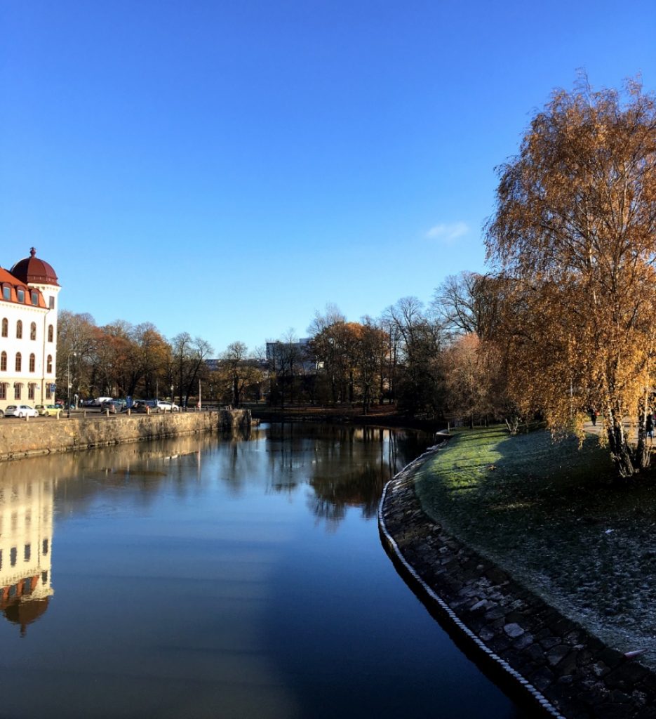 View from the Park