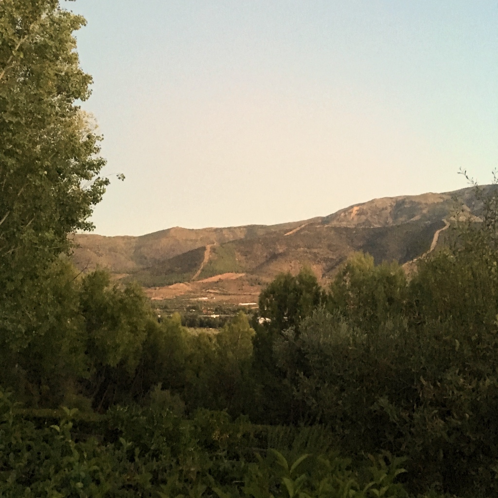 View from the Hotel